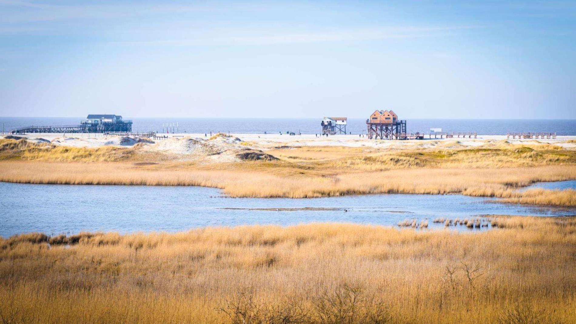 Fewo-Nordsee-Whg-11 圣彼得奥尔丁 外观 照片